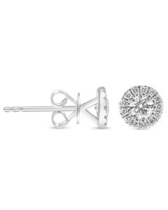 White Gold Diamond Halo Stud Earrings