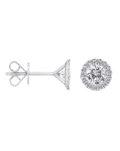 White Gold Diamond Halo Stud Earrings