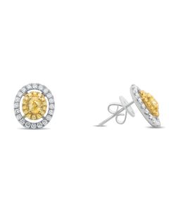 Split Halo Two Tone Diamond Earrings