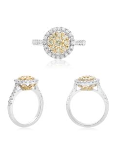 Pave Shank Round Diamond Ring