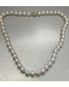 Pearl Necklace