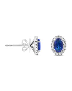 Oval Sapphire Halo Stud Earrings